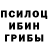 Псилоцибиновые грибы Psilocybine cubensis Dario Manfron
