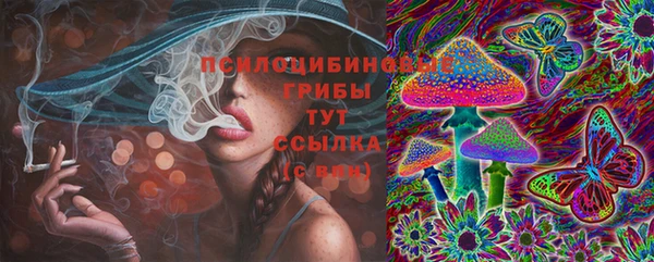 молекула духа Кукмор