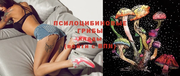 apvp Кулебаки