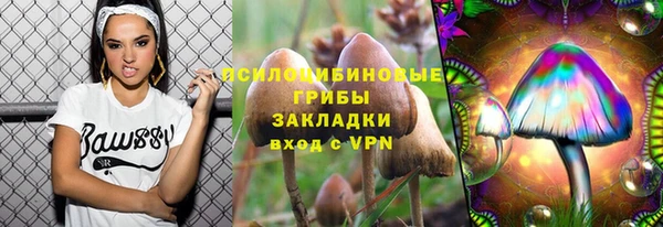 молекула духа Кукмор