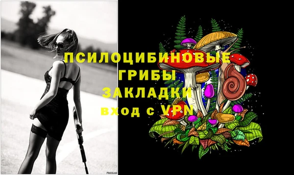 молекула духа Кукмор