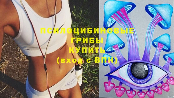 молекула духа Кукмор