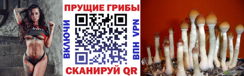 Галлюциногенные грибы мухоморы hydra tor Эртиль